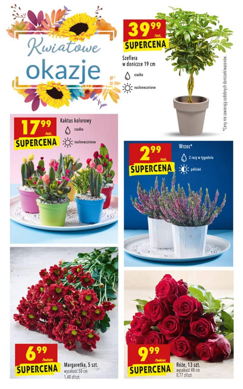 Gazetka promocyjna Biedronka str. 49