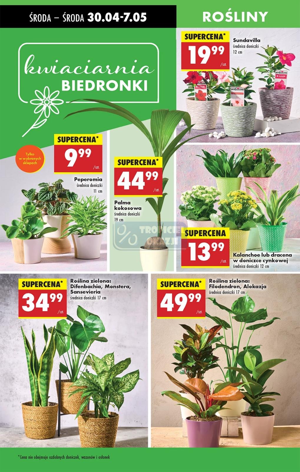 Gazetka promocyjna Biedronka str. 31
