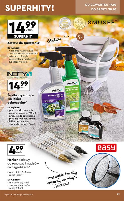 Gazetka promocyjna Biedronka str. 31