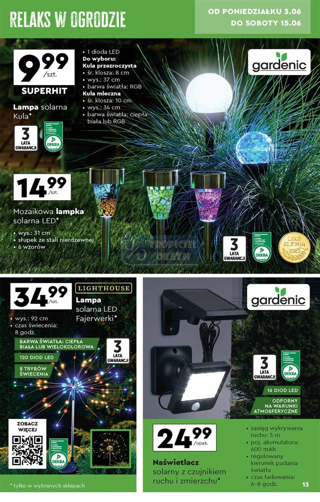 Gazetka promocyjna Biedronka str. 13