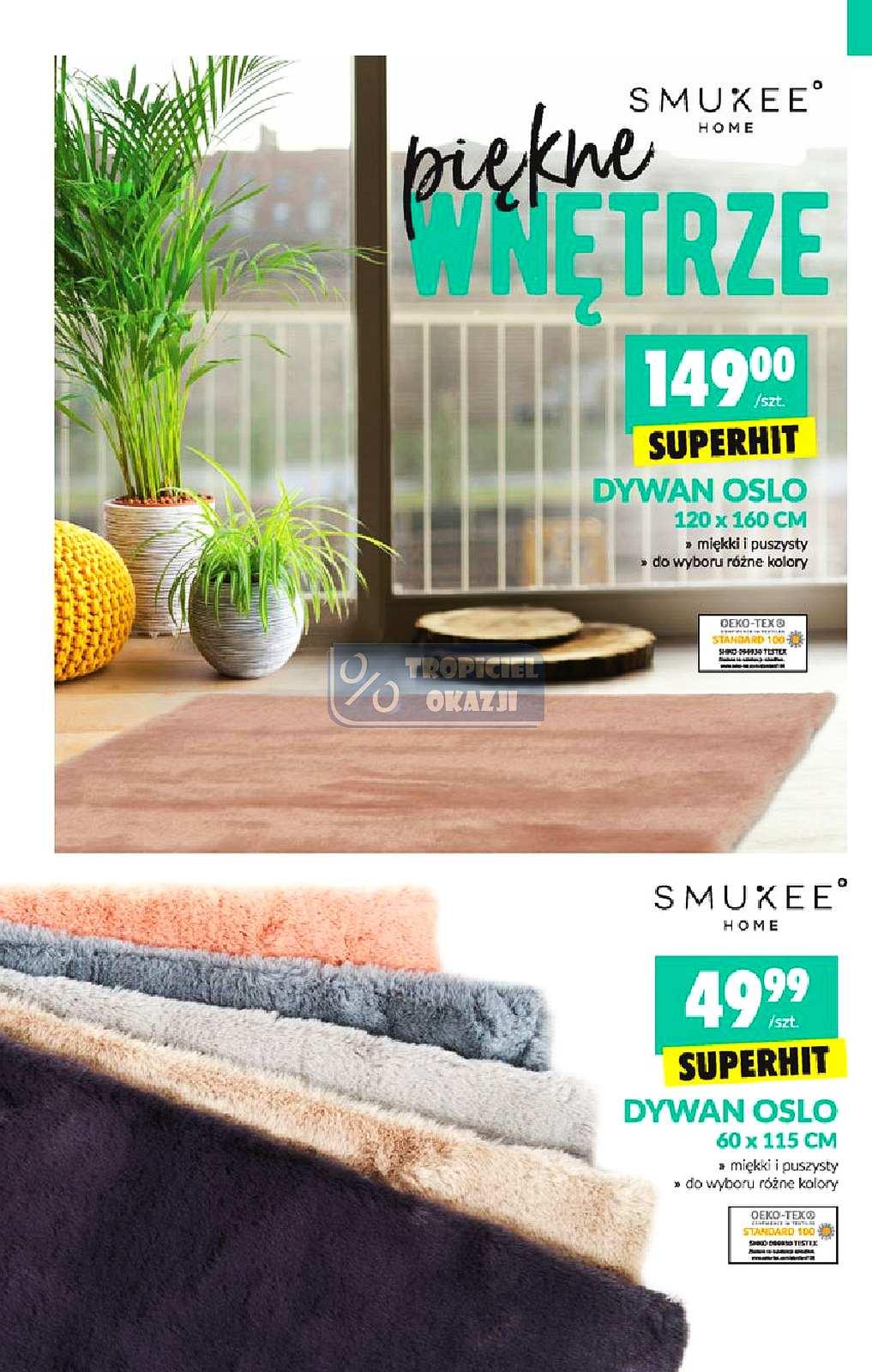 Gazetka promocyjna Biedronka str. 22