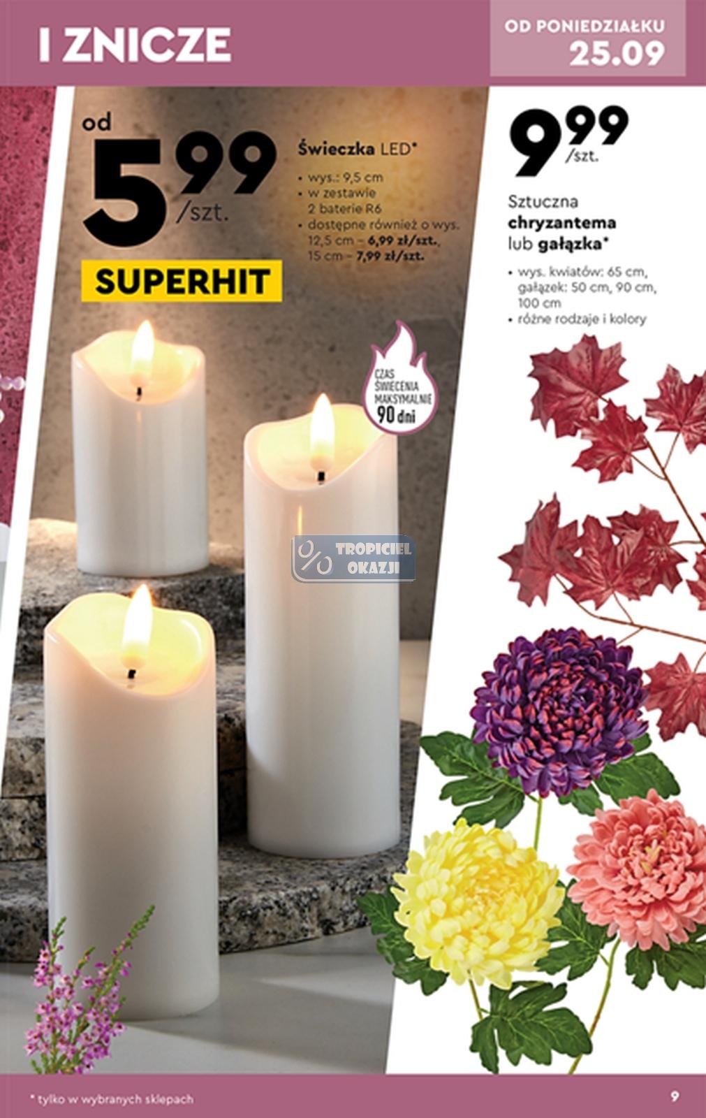 Gazetka promocyjna Biedronka str. 9