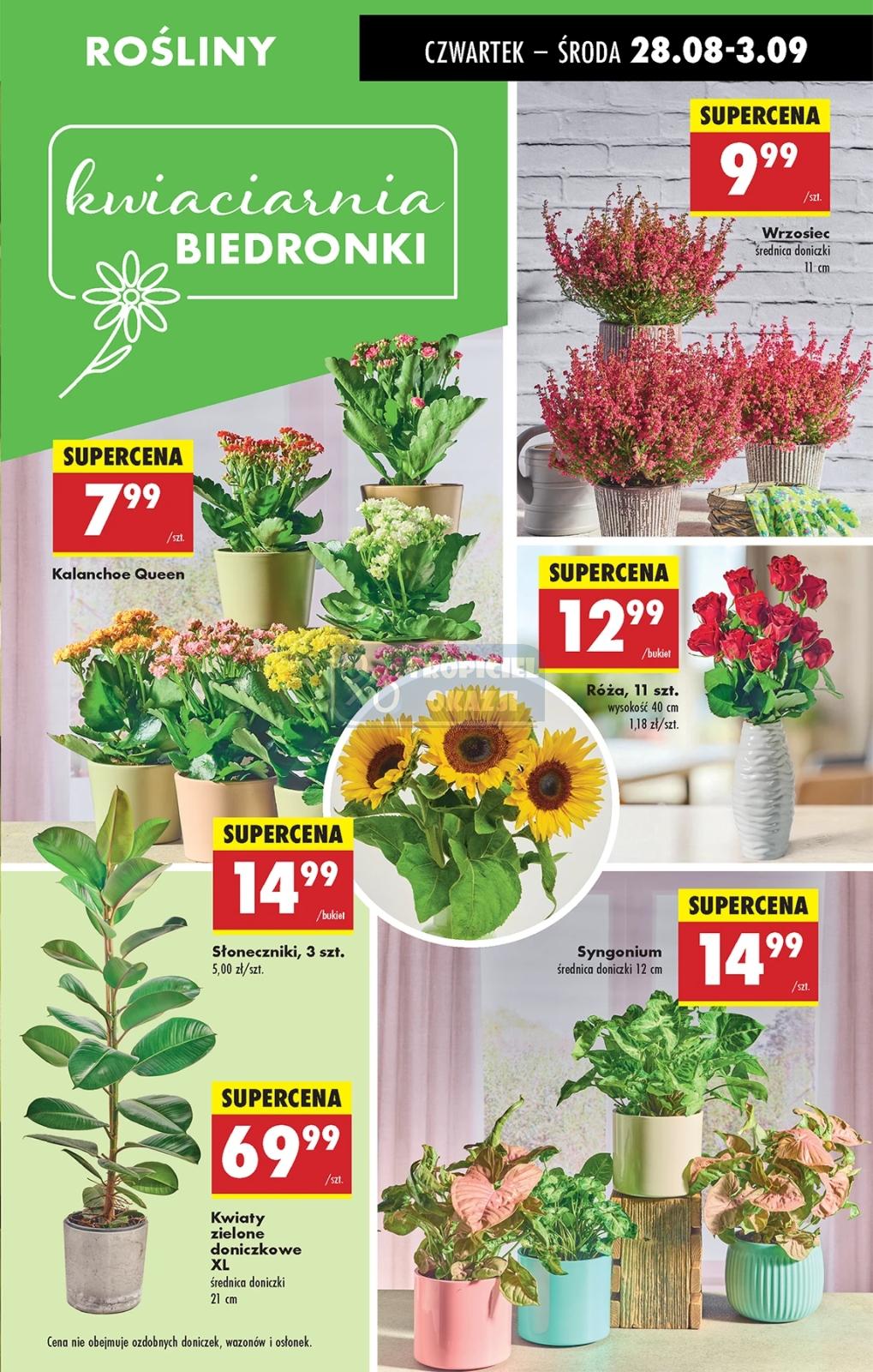 Gazetka promocyjna Biedronka str. 25