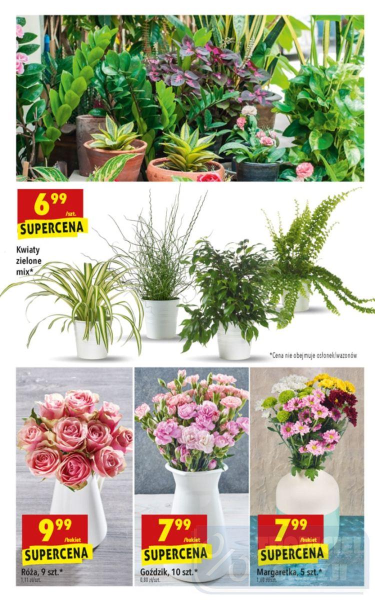 Gazetka promocyjna Biedronka str. 53