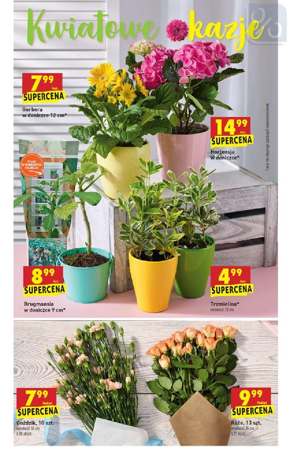 Gazetka promocyjna Biedronka str. 72