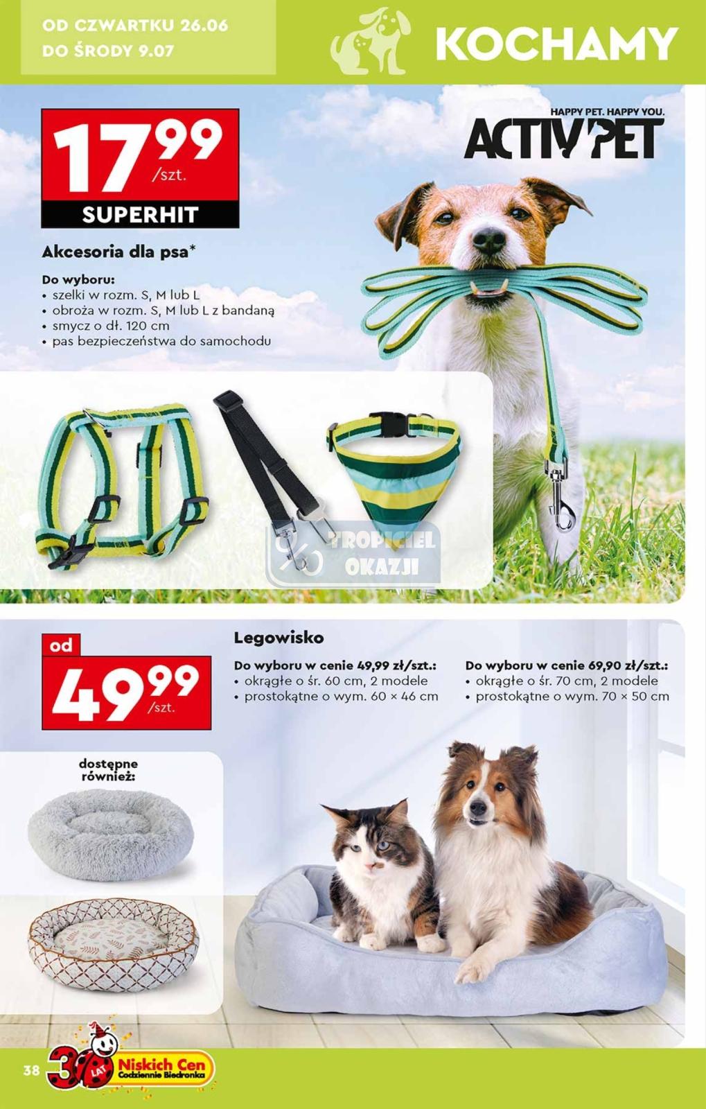 Gazetka promocyjna Biedronka str. 38