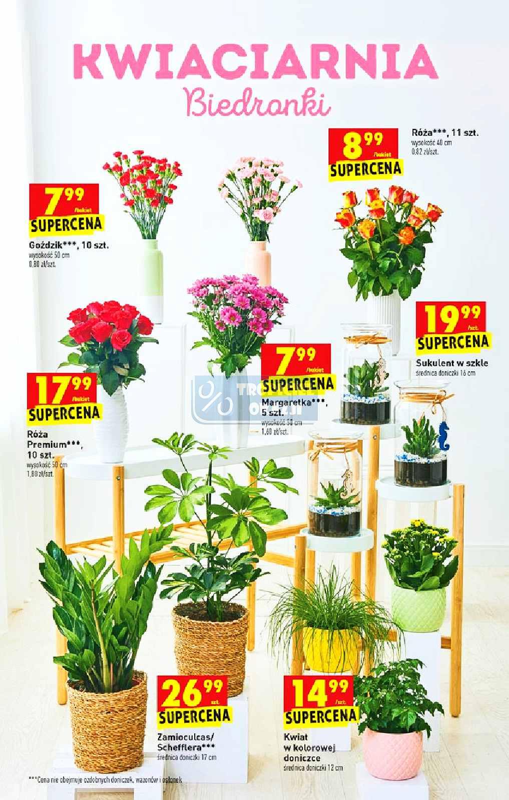 Gazetka promocyjna Biedronka str. 9