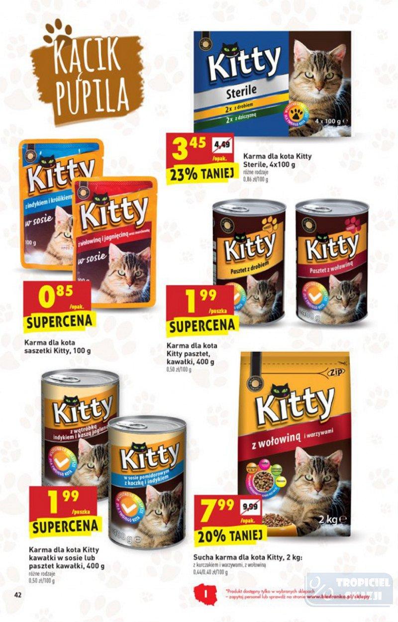 Gazetka promocyjna Biedronka str. 42