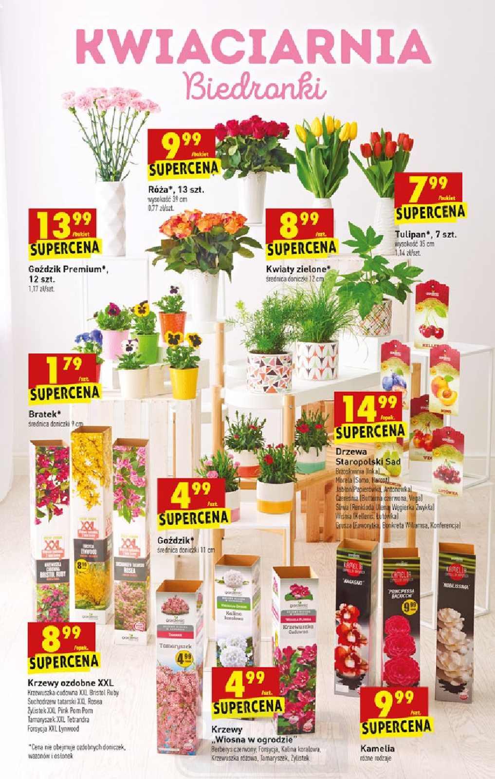 Gazetka promocyjna Biedronka str. 45