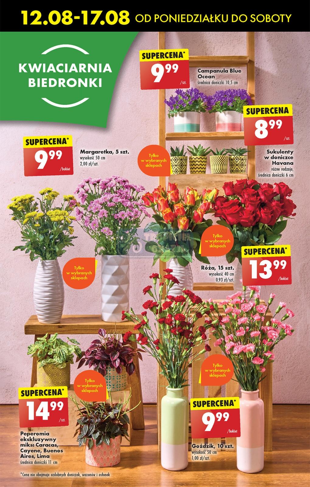 Gazetka promocyjna Biedronka str. 74