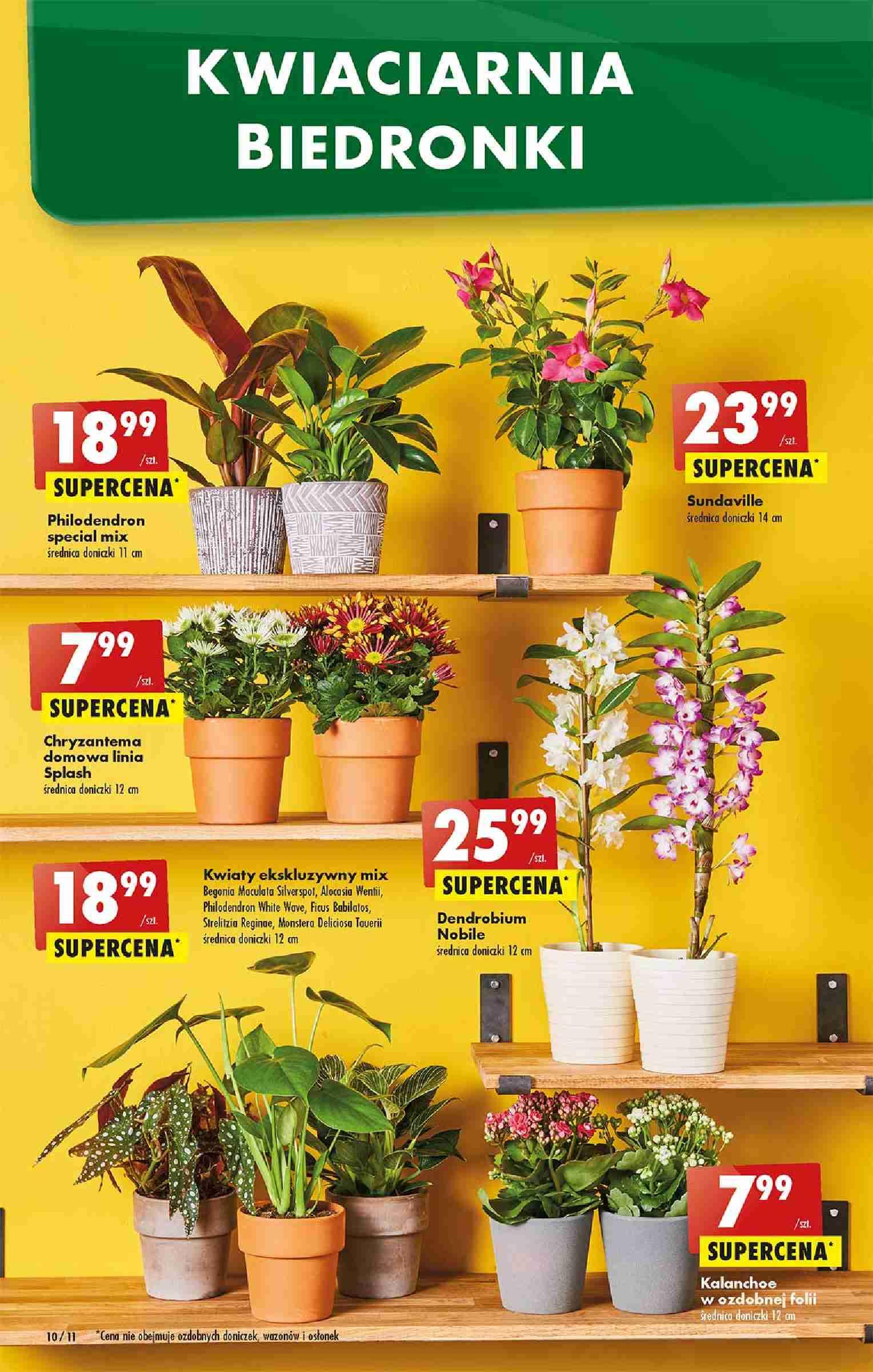 Gazetka promocyjna Biedronka str. 10