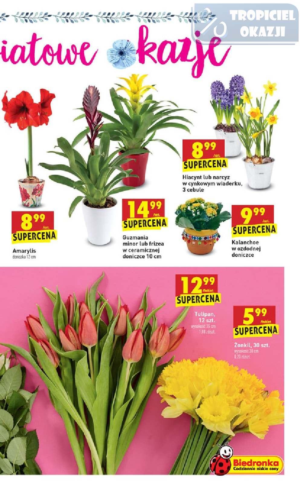 Gazetka promocyjna Biedronka str. 63