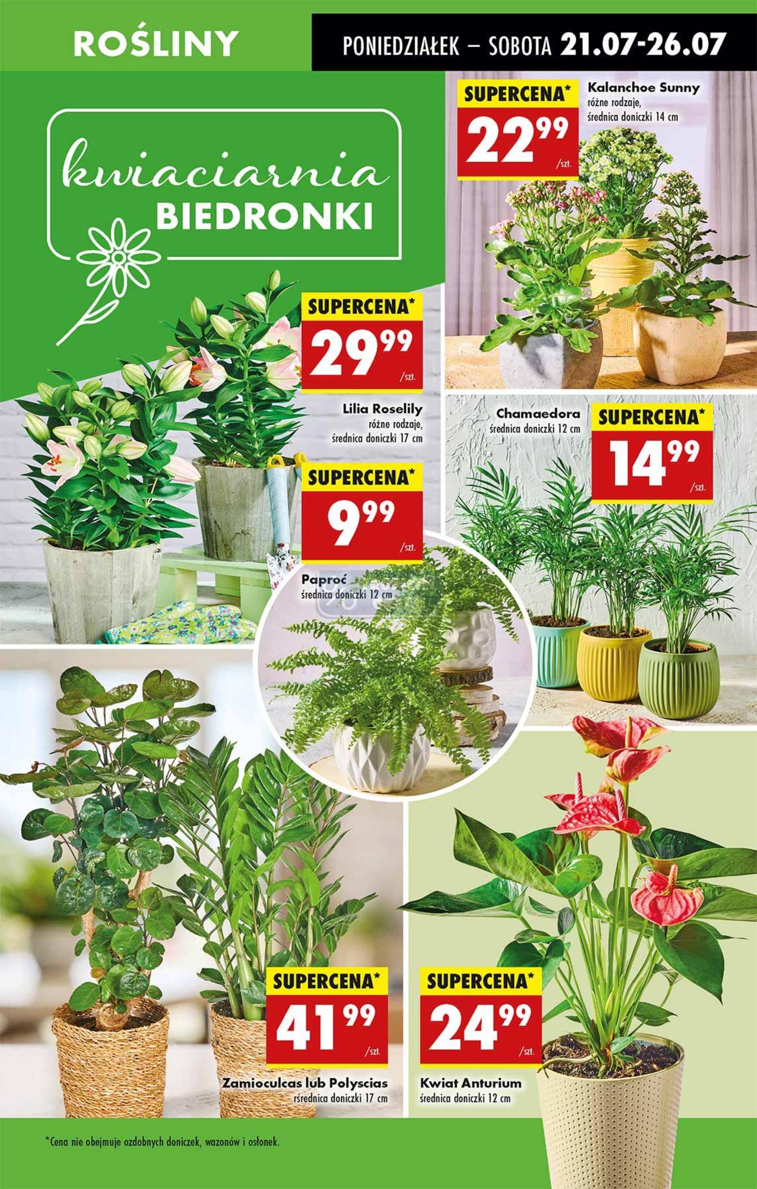 Gazetka promocyjna Biedronka str. 55