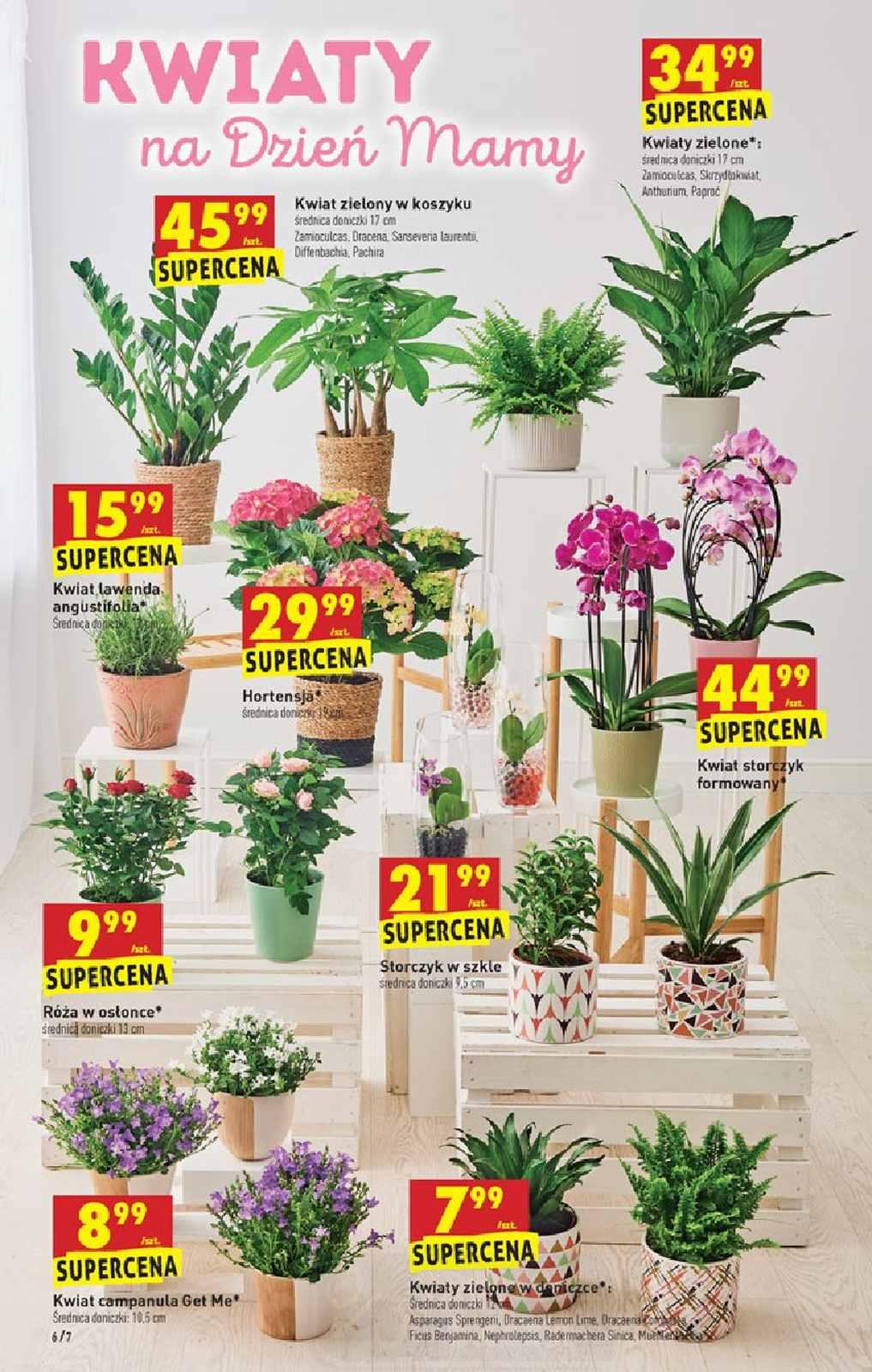 Gazetka promocyjna Biedronka str. 6