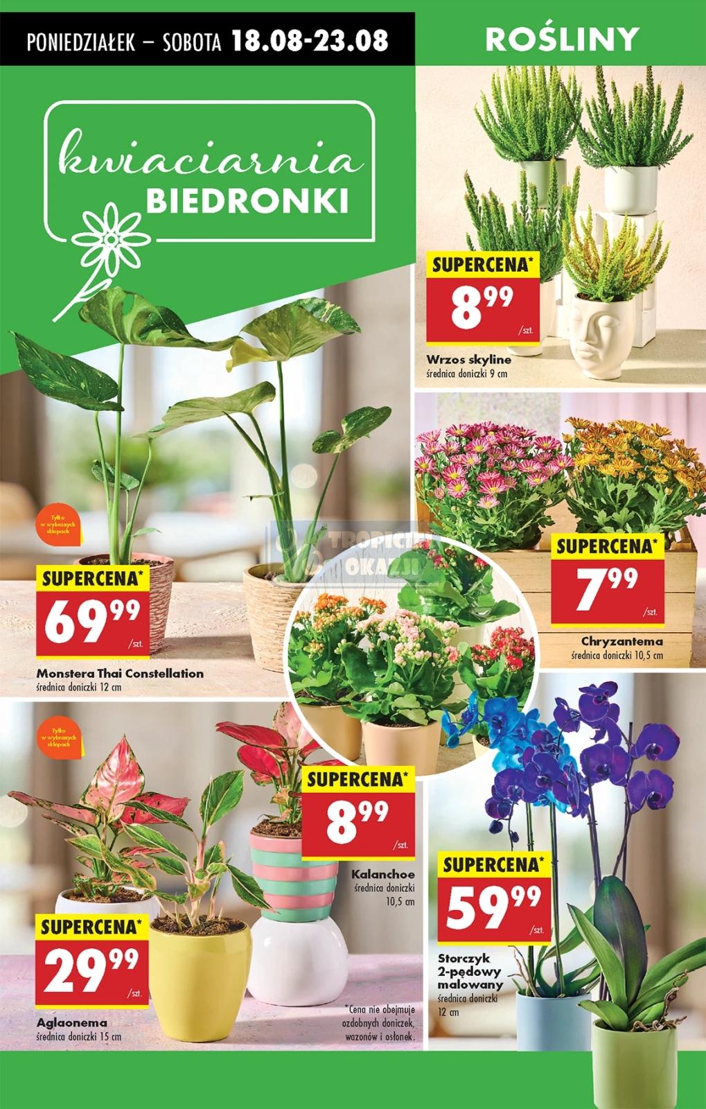 Gazetka promocyjna Biedronka str. 69