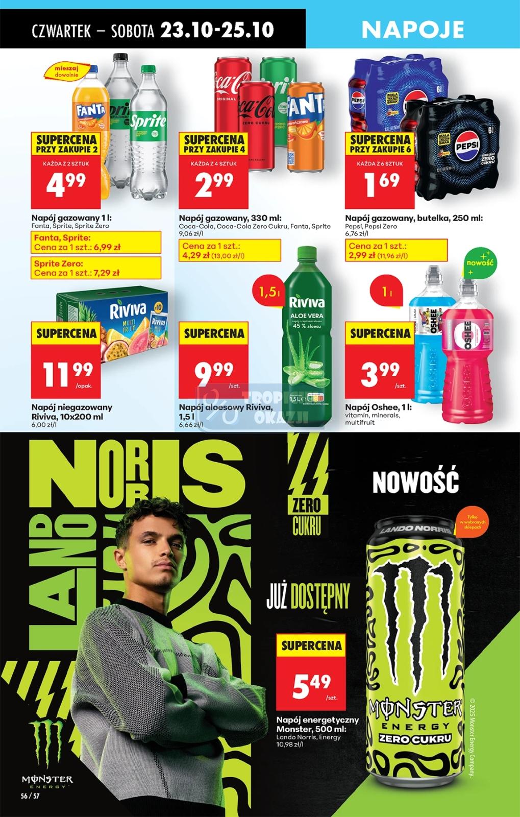 Gazetka promocyjna Biedronka str. 73