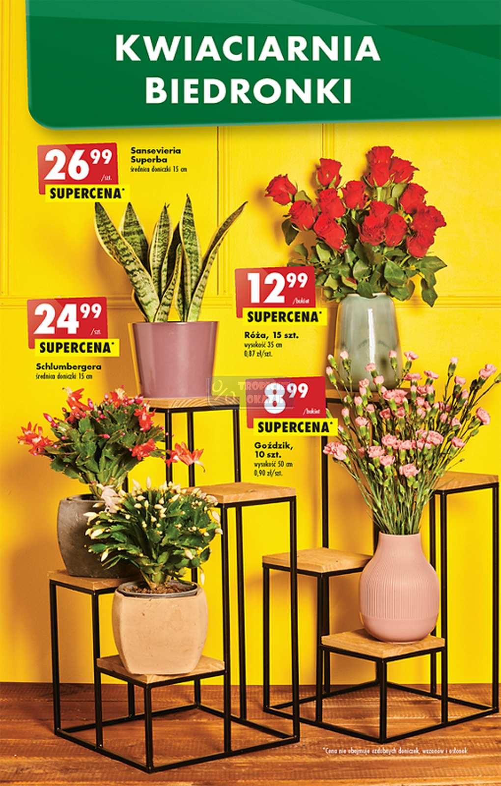 Gazetka promocyjna Biedronka str. 9