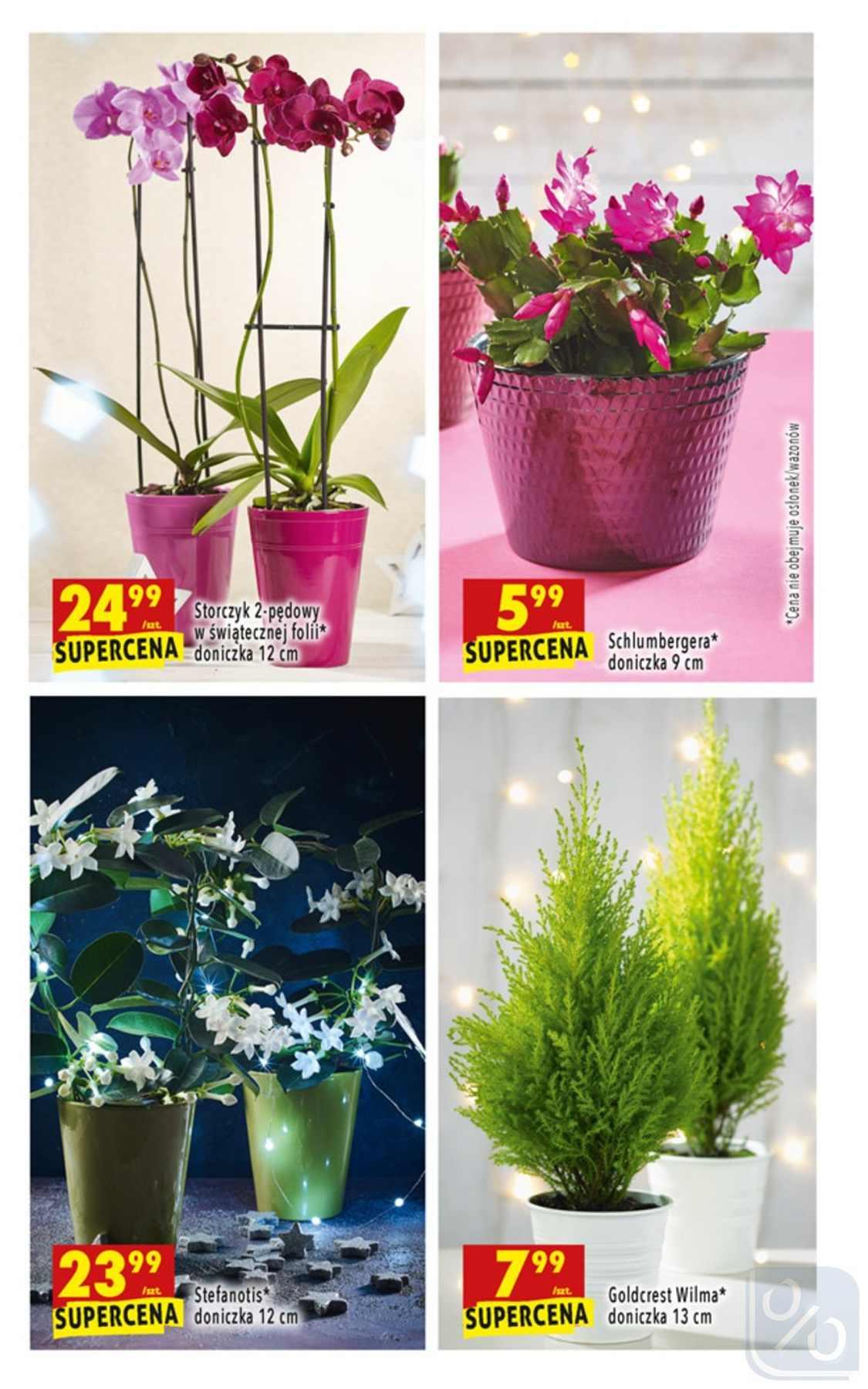 Gazetka promocyjna Biedronka str. 71