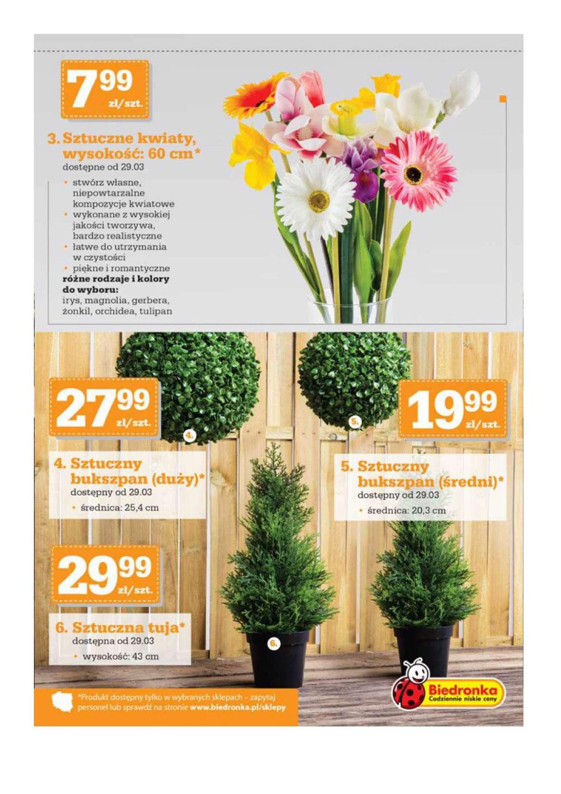 Gazetka promocyjna Biedronka str. 15