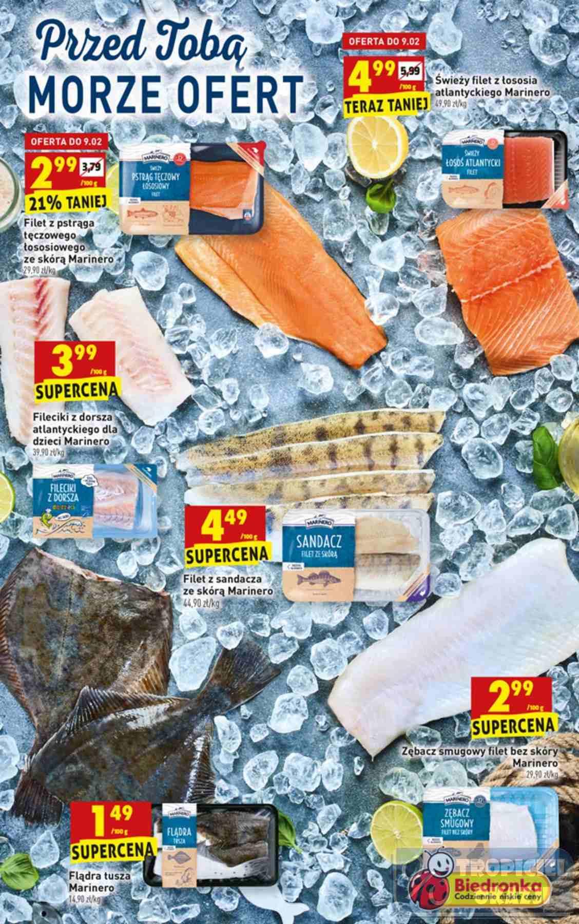 Gazetka promocyjna Biedronka str. 15