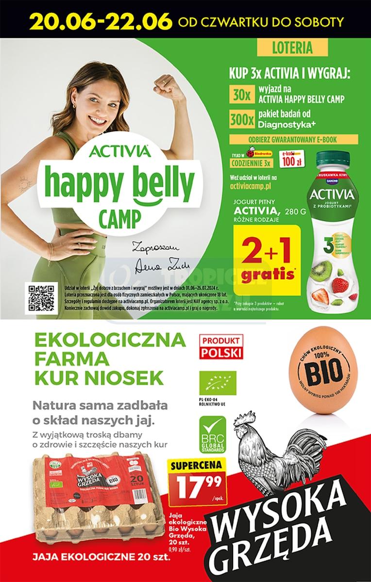 Gazetka promocyjna Biedronka str. 33