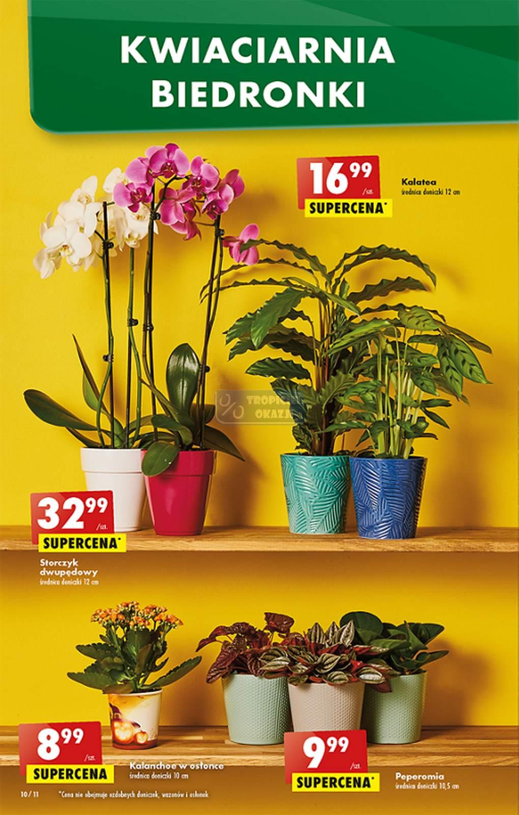 Gazetka promocyjna Biedronka str. 10