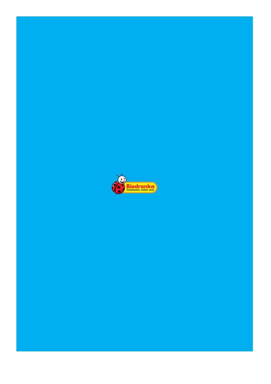 Gazetka promocyjna Biedronka str. 6