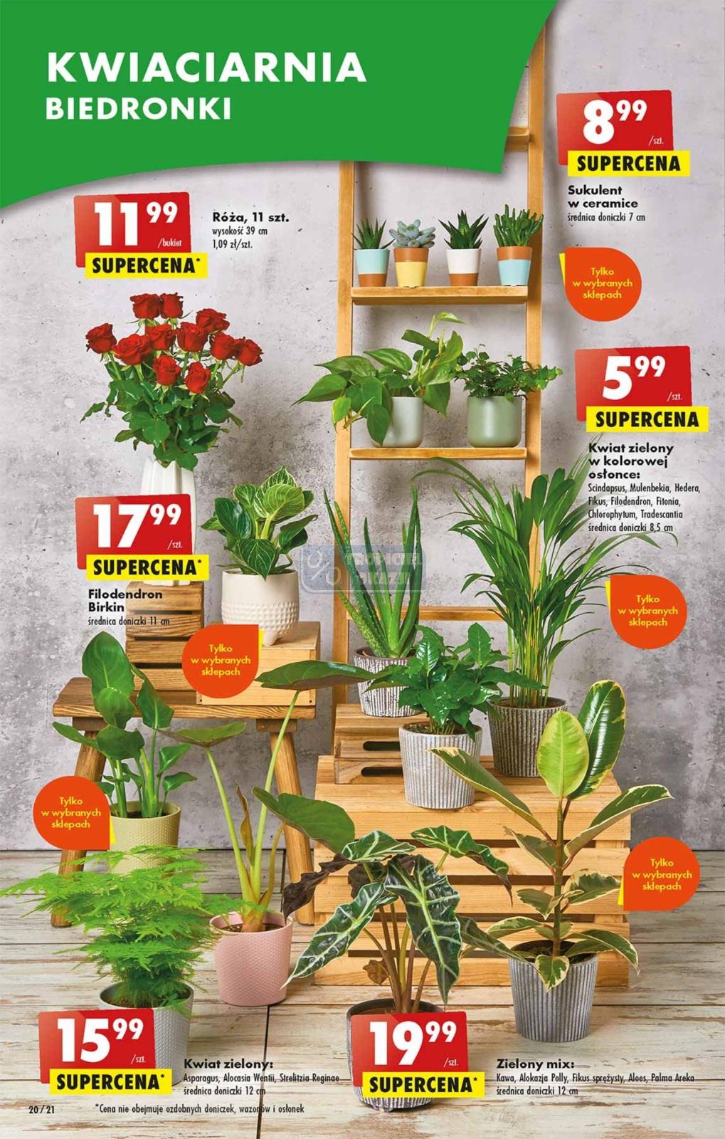 Gazetka promocyjna Biedronka str. 20