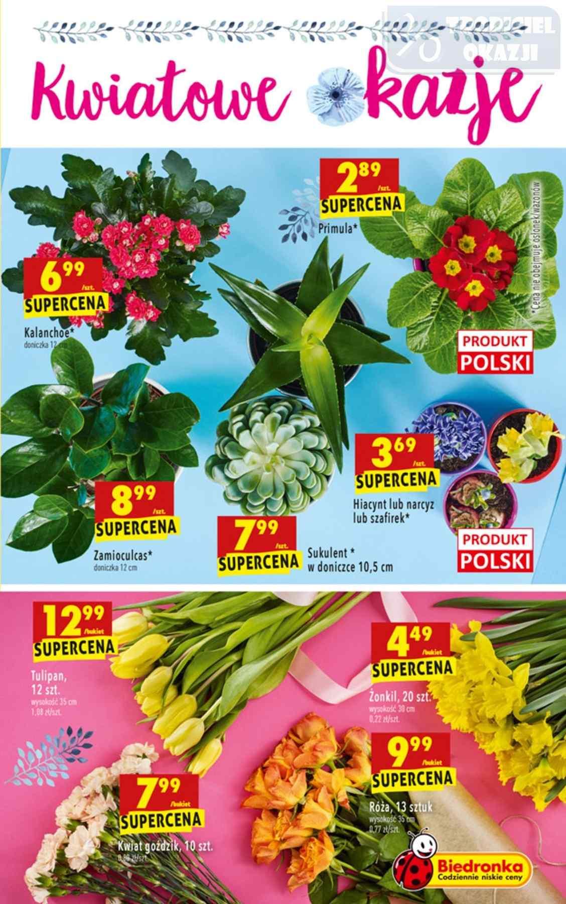 Gazetka promocyjna Biedronka str. 63