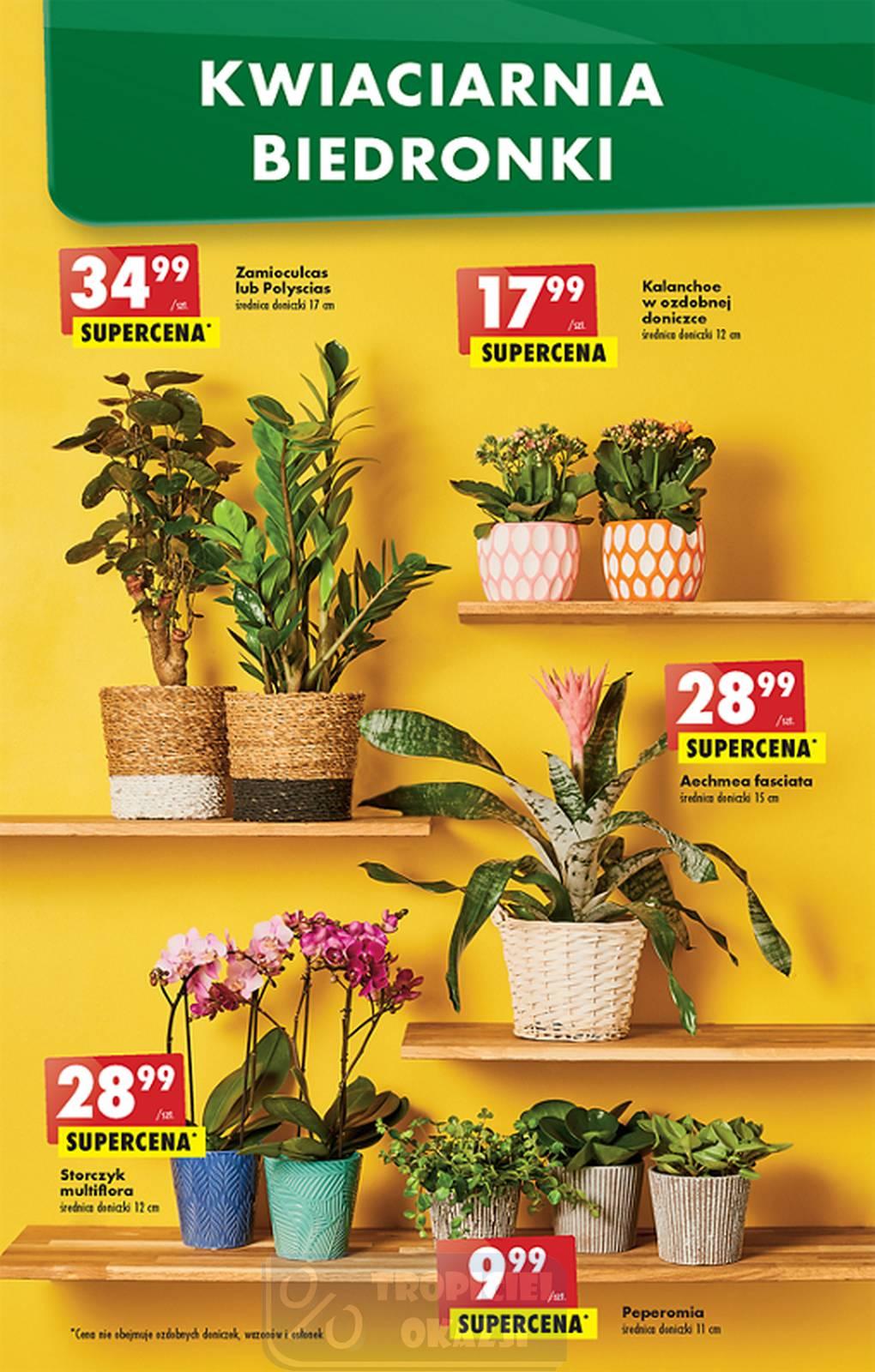 Gazetka promocyjna Biedronka str. 48