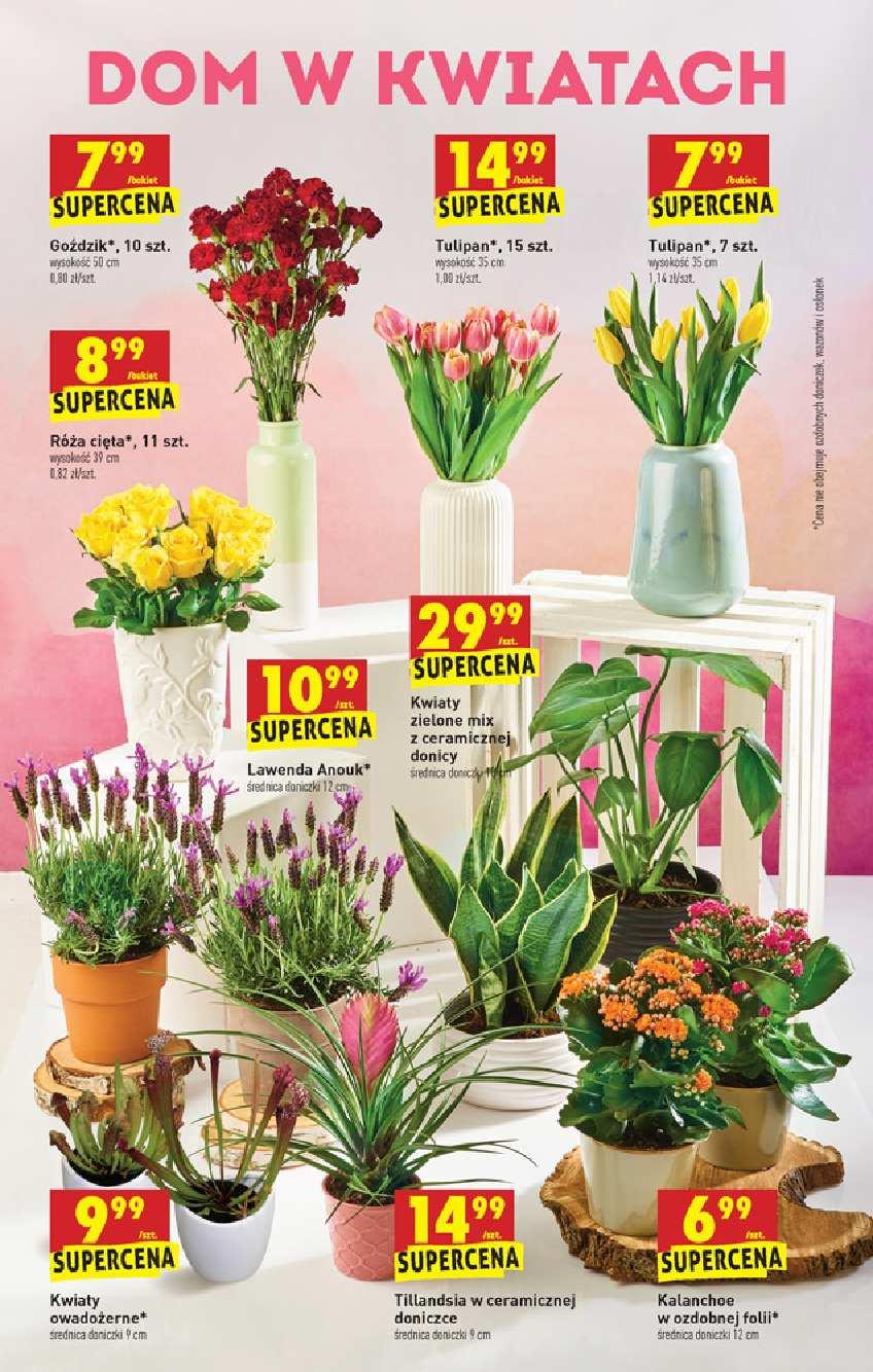 Gazetka promocyjna Biedronka str. 56