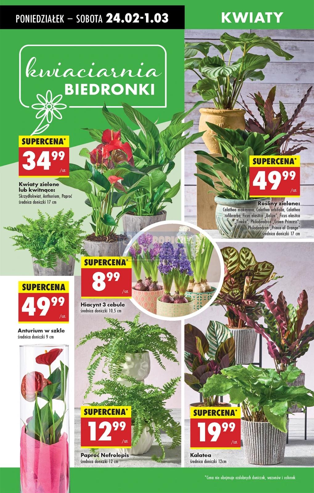 Gazetka promocyjna Biedronka str. 22