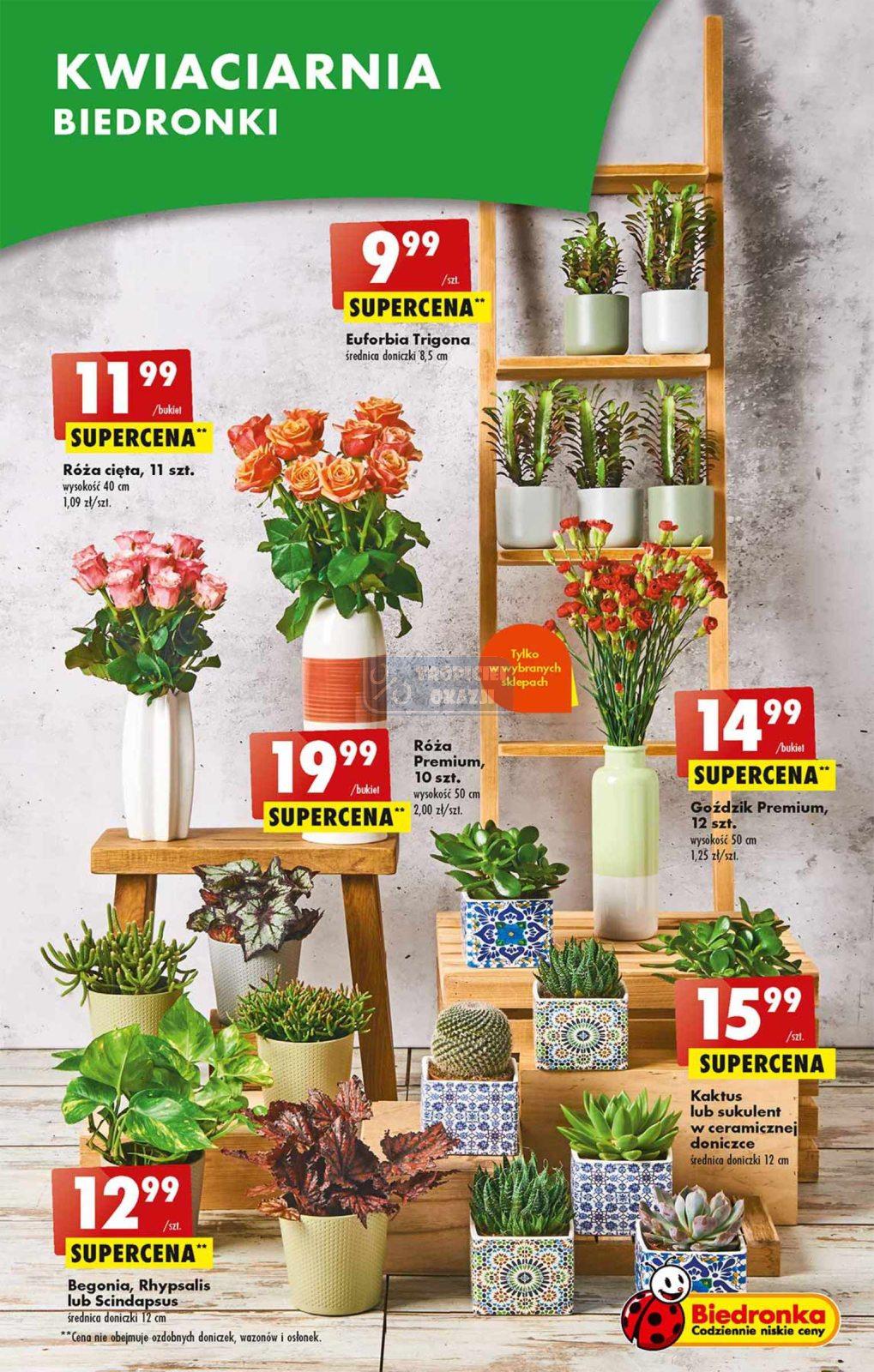 Gazetka promocyjna Biedronka str. 21