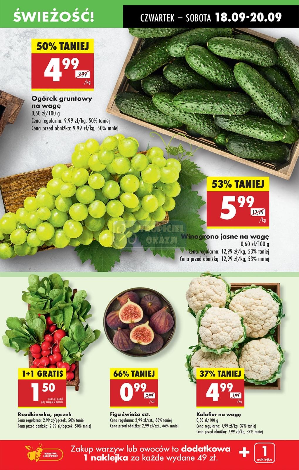 Gazetka promocyjna Biedronka str. 15