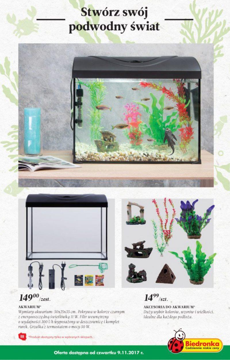 Gazetka promocyjna Biedronka str. 11