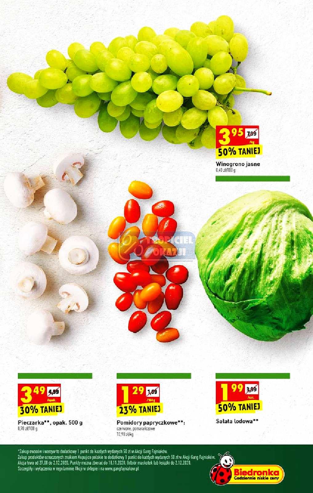 Gazetka promocyjna Biedronka str. 17