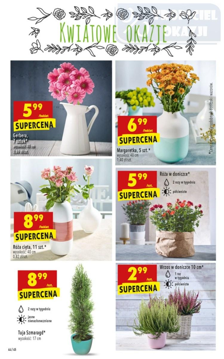 Gazetka promocyjna Biedronka str. 44