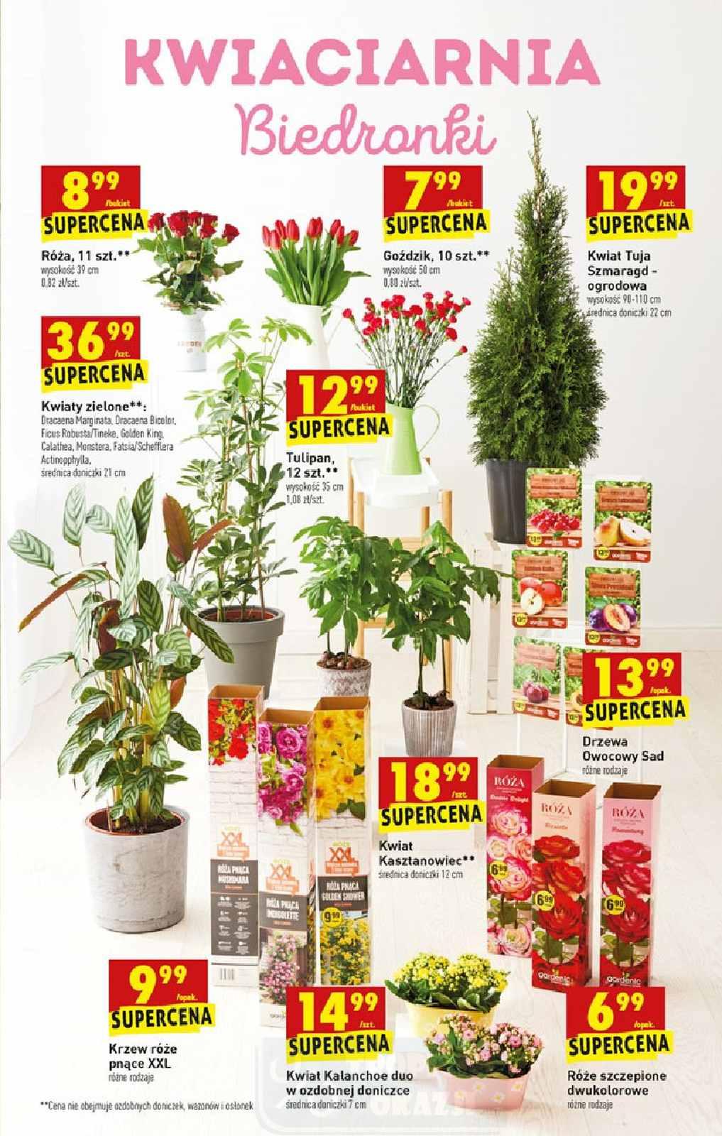 Gazetka promocyjna Biedronka str. 63