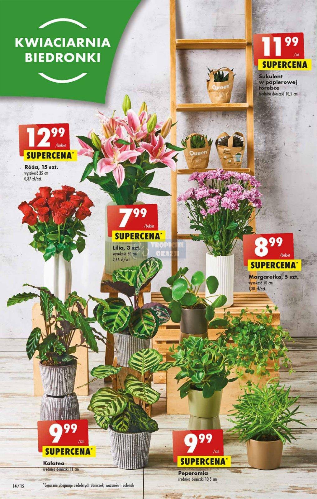 Gazetka promocyjna Biedronka str. 13