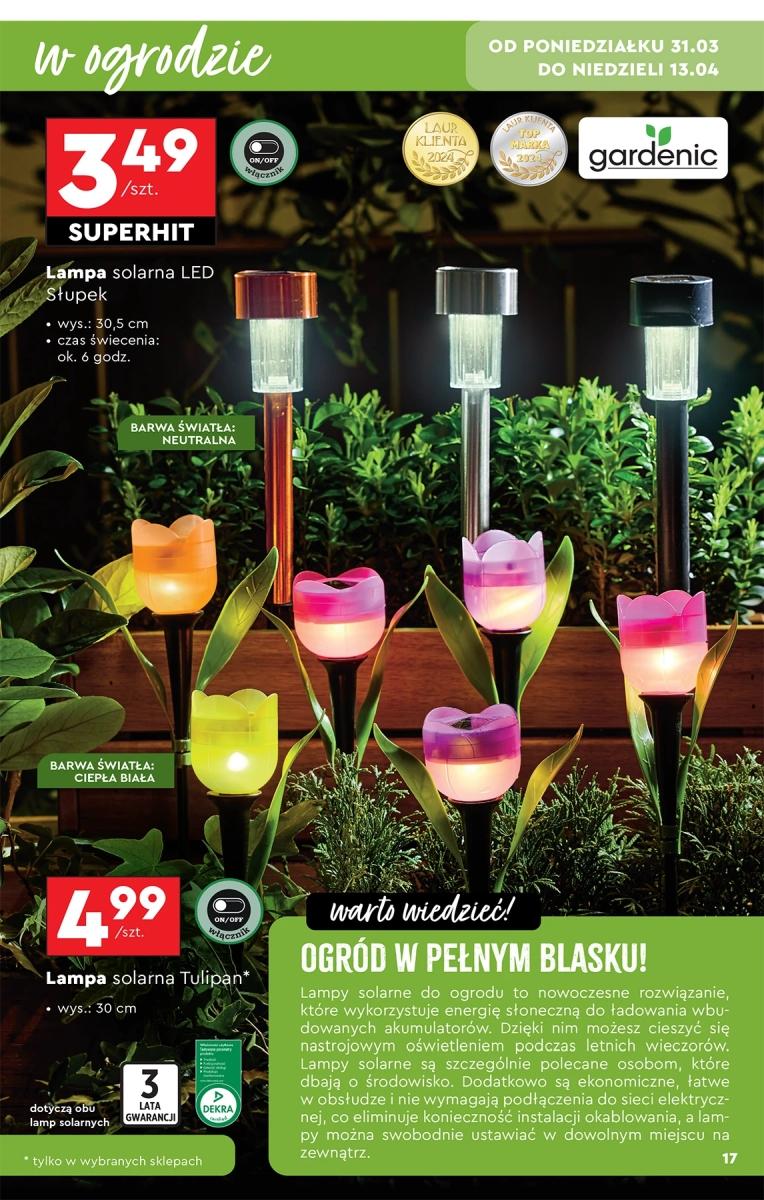 Gazetka promocyjna Biedronka str. 17