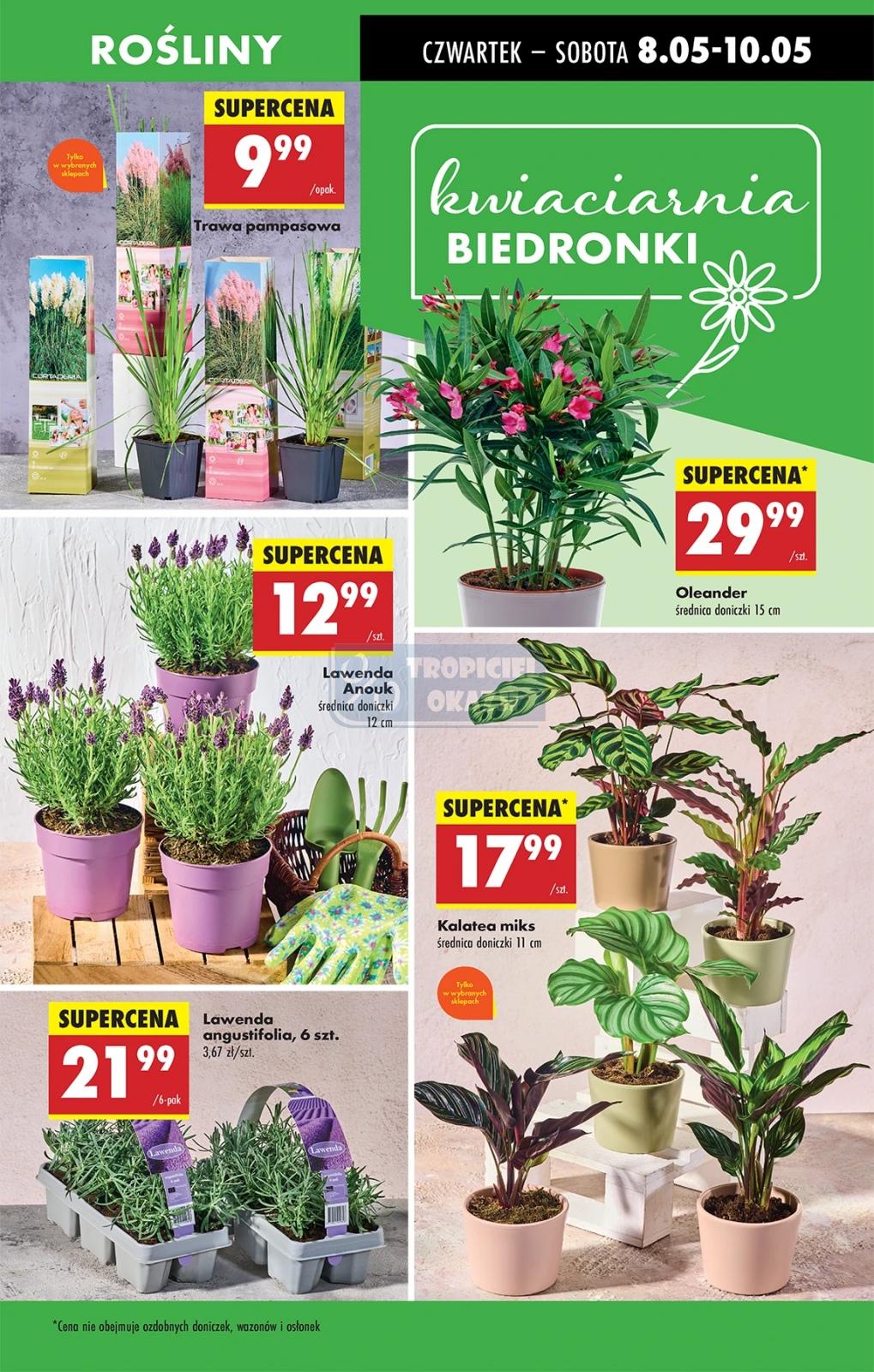 Gazetka promocyjna Biedronka str. 27