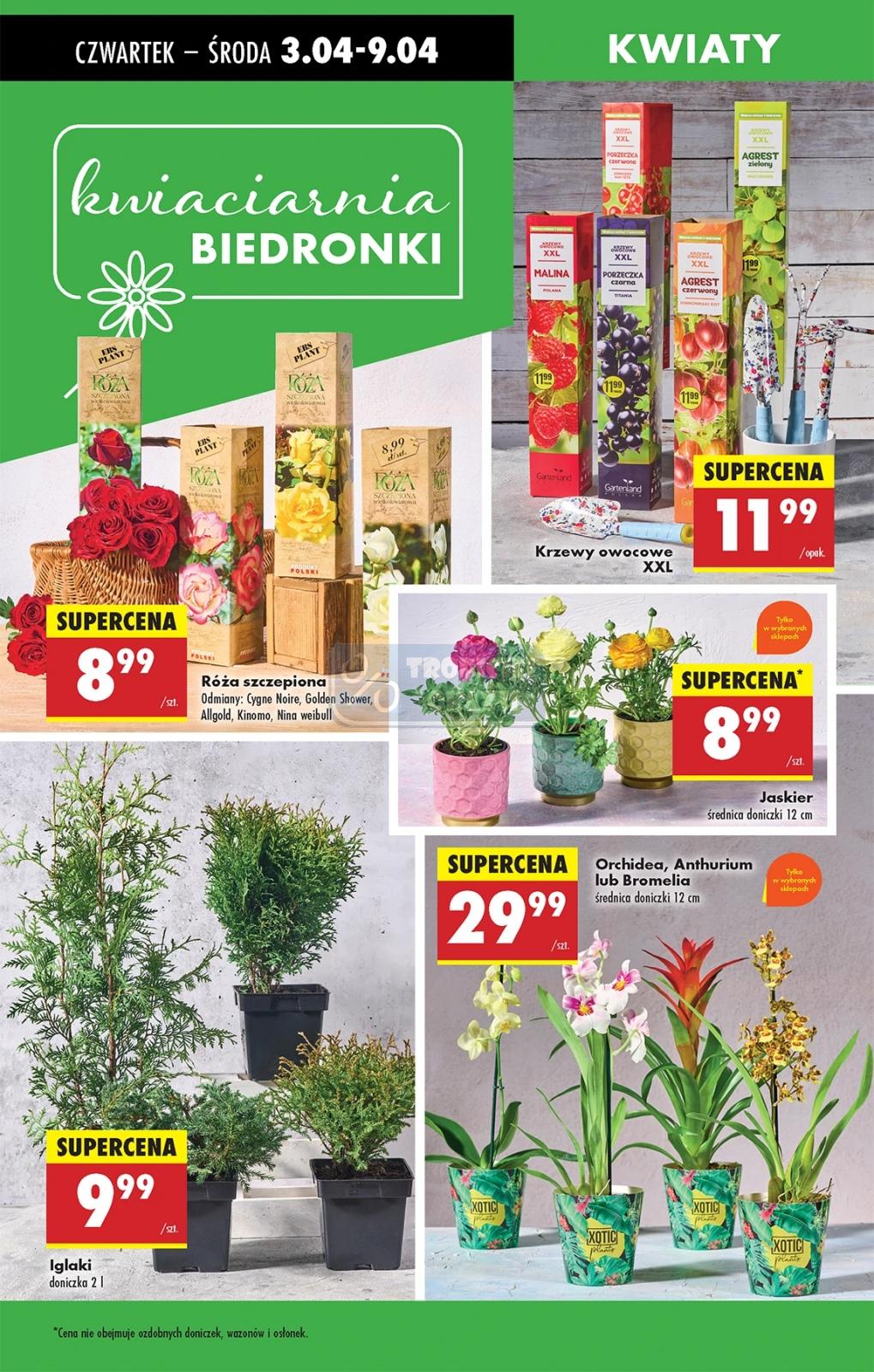 Gazetka promocyjna Biedronka str. 62