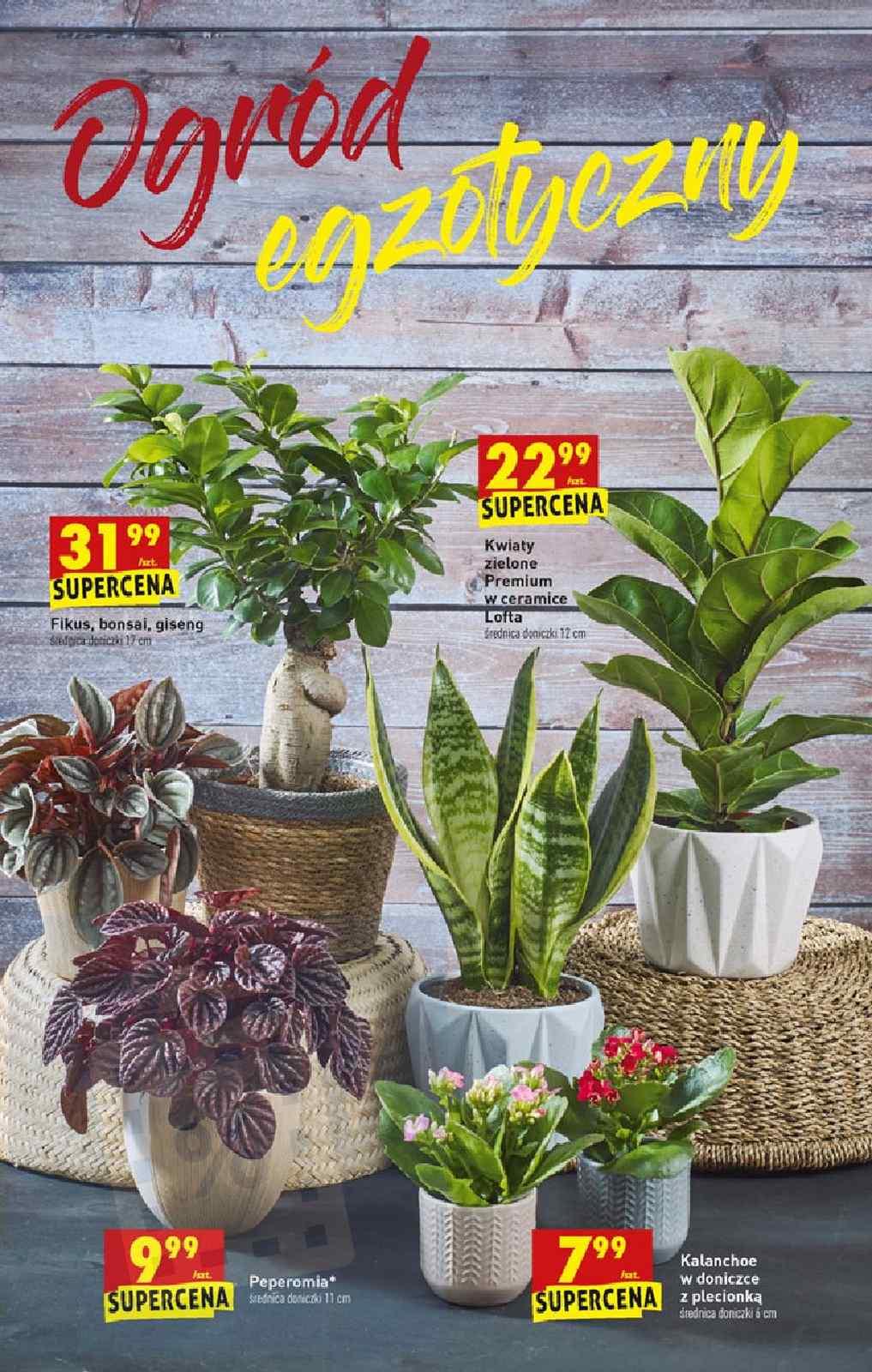 Gazetka promocyjna Biedronka str. 63