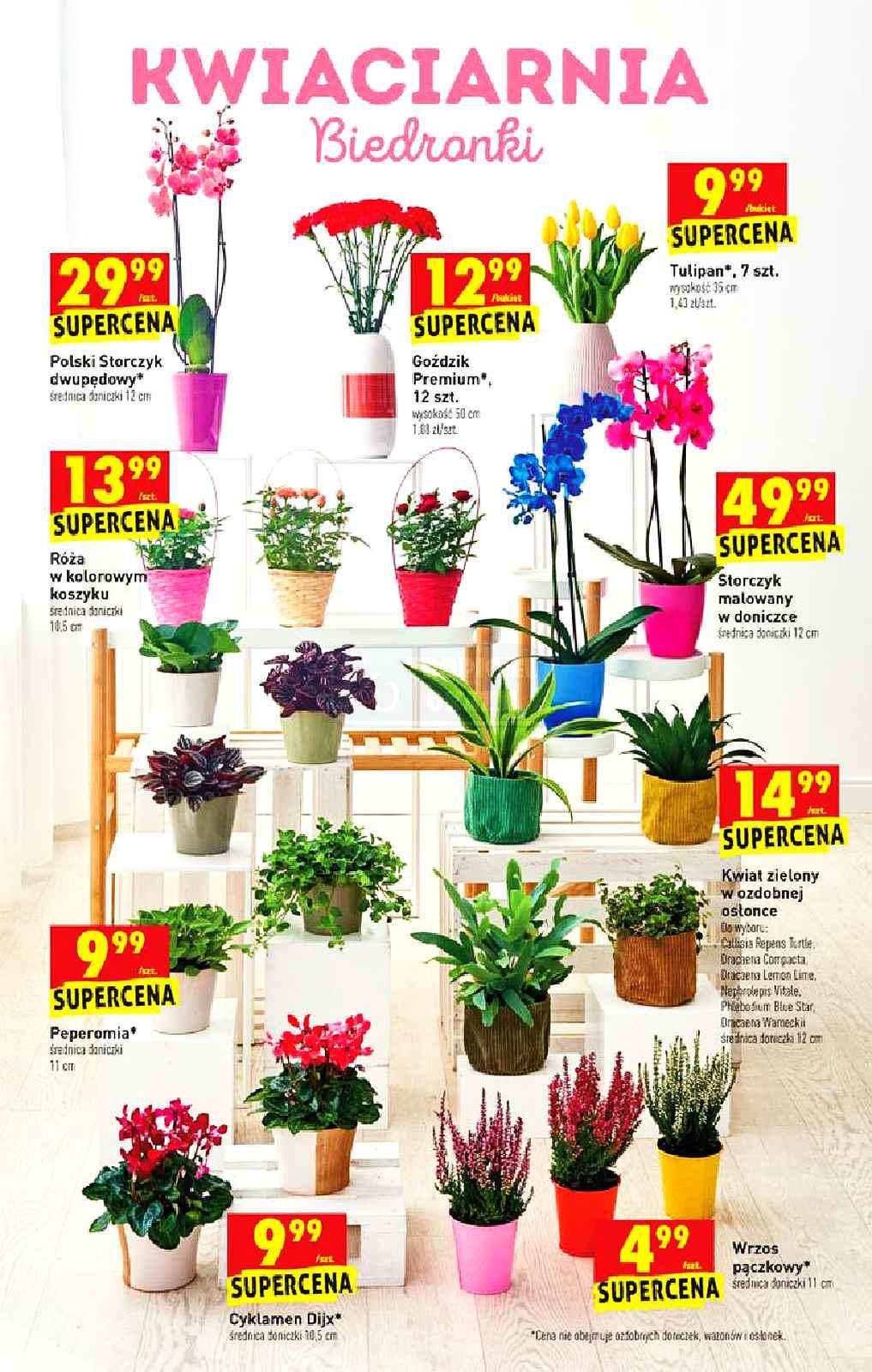 Gazetka promocyjna Biedronka str. 11