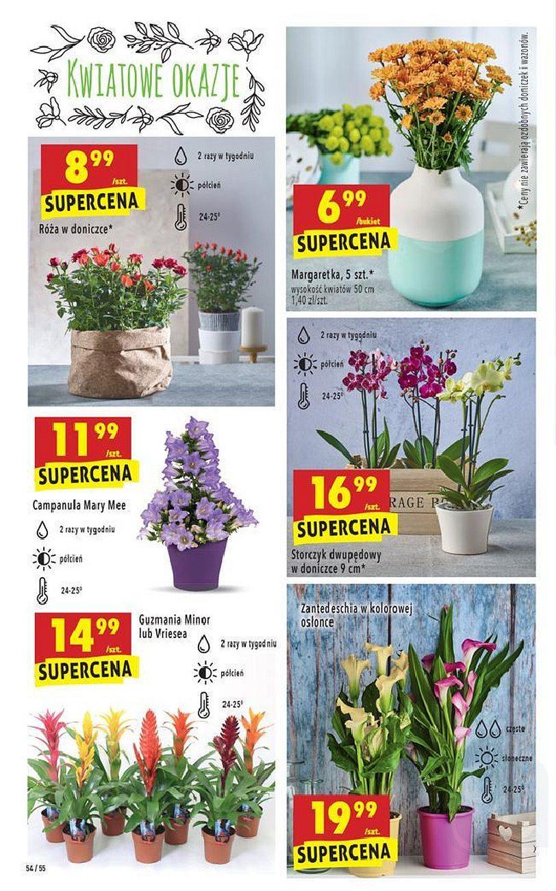 Gazetka promocyjna Biedronka str. 54
