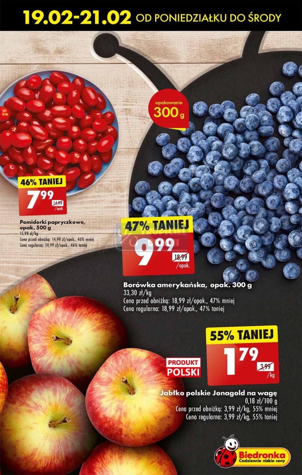 Gazetka promocyjna Biedronka str. 17