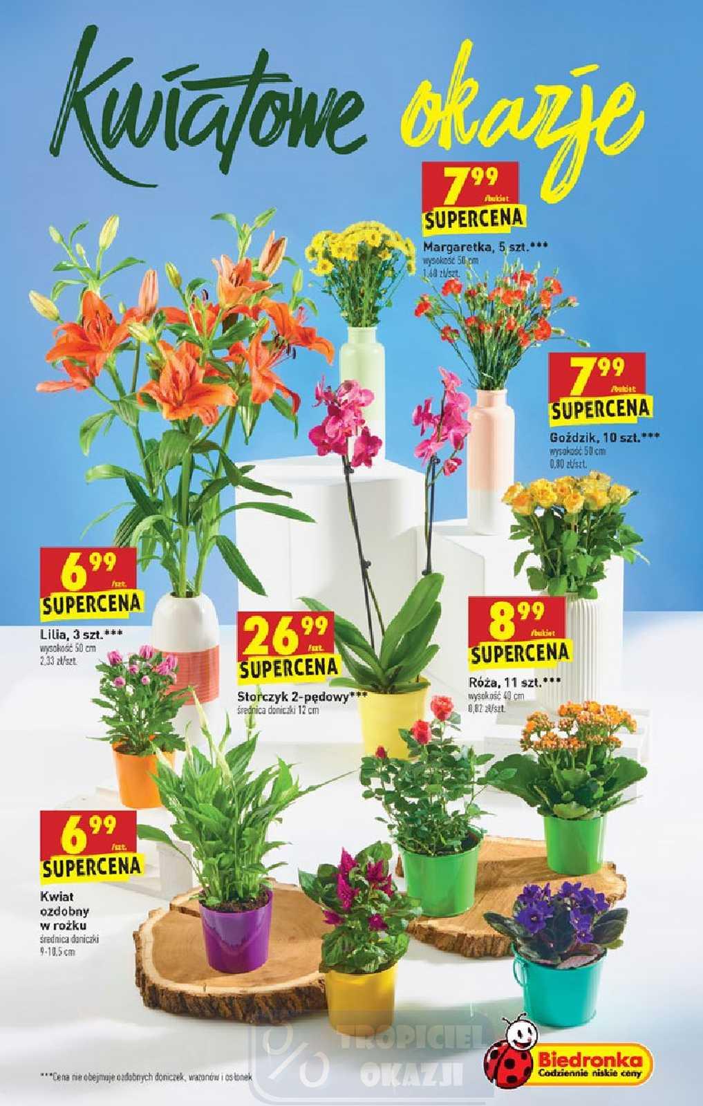 Gazetka promocyjna Biedronka str. 47