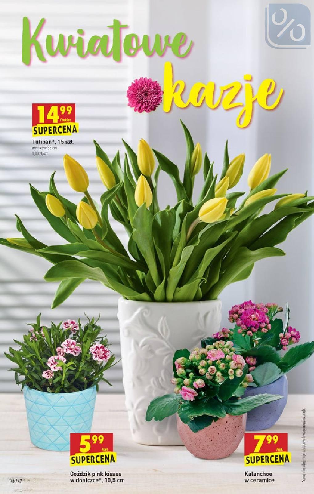 Gazetka promocyjna Biedronka str. 46