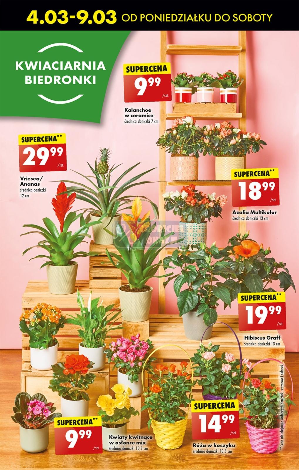 Gazetka promocyjna Biedronka str. 18