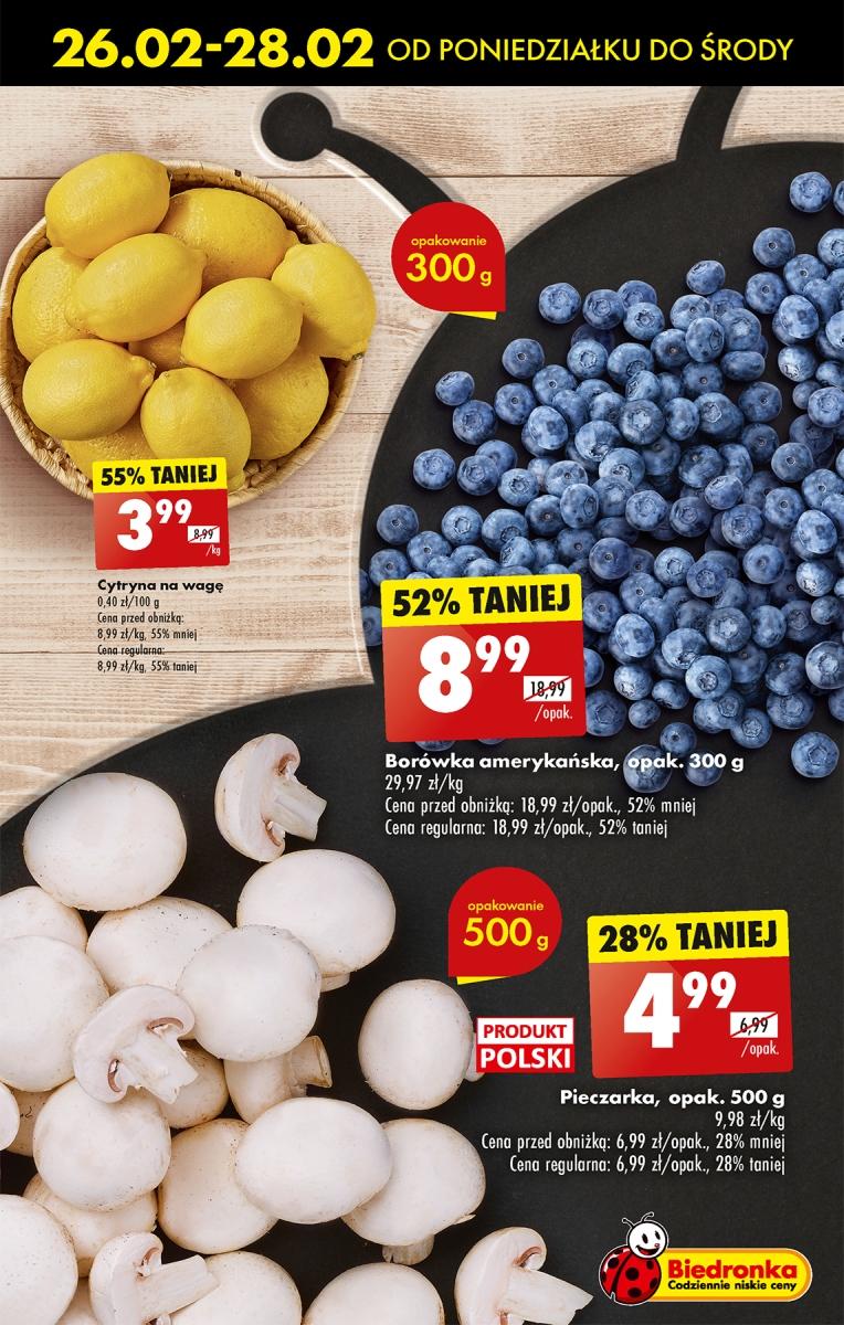 Gazetka promocyjna Biedronka str. 17